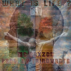 What Is Life ? (Trinovante Remix)