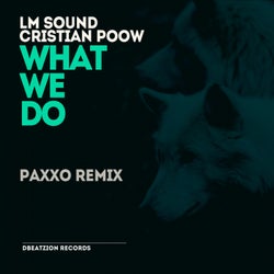 What We Do (Paxxo Remix)