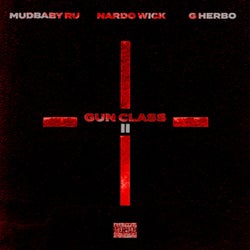 Gun Class II