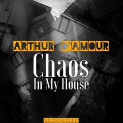 Chaos in My House