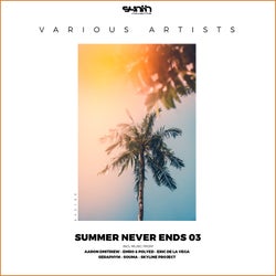 Summer Never Ends 03