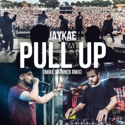 Pull Up (Mike Skinner Remix)