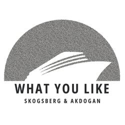 What You Like