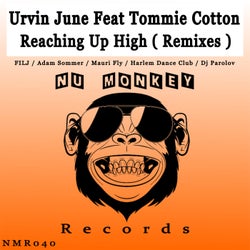 Reaching Up High (Remixes)