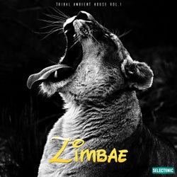 Zimbae: Tribal Ambient House, Vol. 1