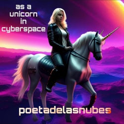 As a Unicorn in Cyberspace