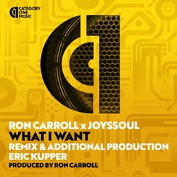 What I Want (Eric Kupper Remixes)