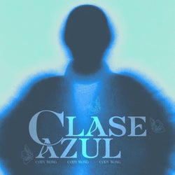 Clase Azul