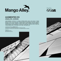 Augmented 016 / Analog Jungs