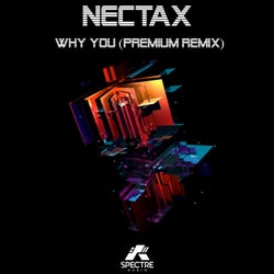 Why You (Premium Remix)
