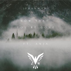 Now That You're Gone (feat. Anja)