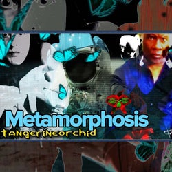 Metamorphosis