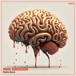 Mind Dimension