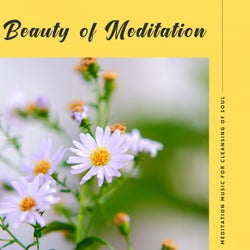 Beauty Of Meditation - Meditation Music For Cleansing Of Soul