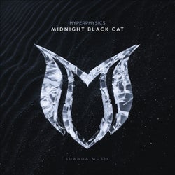 Midnight Black Cat