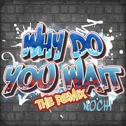 Why Do You Wait (The Remix)