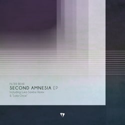 Second Amnesia