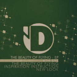 The Beauty of Flying - EP