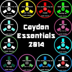 Cayden Essentials 2014