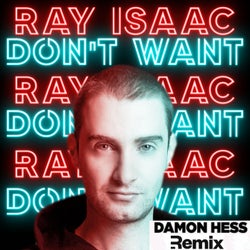 Don't Want (Damon Hess Remix)