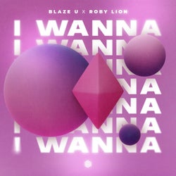 I Wanna