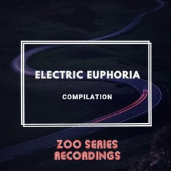 Electric Euphoria