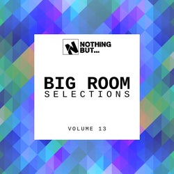 Nothing But... Big Room Selections, Vol. 13