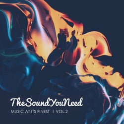 TheSoundYouNeed, Vol. 2