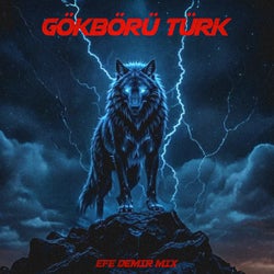 GÖKBÖRÜ TÜRK