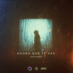 Ahora que te vas - Remix