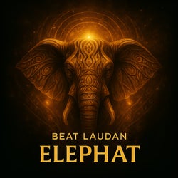 Elephat
