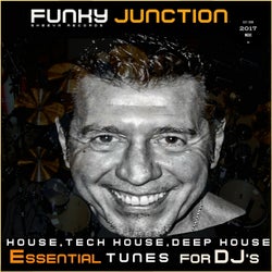 Sheeva Records Featuring Funky Junction Essential Tunes For DJ's