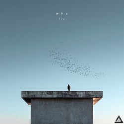 Why Fly