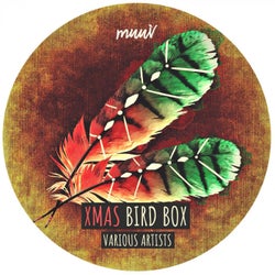Xmas Bird Box