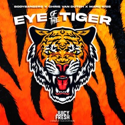 Eye of the Tiger