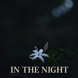 In the Night