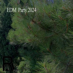 EDM  Party 2024