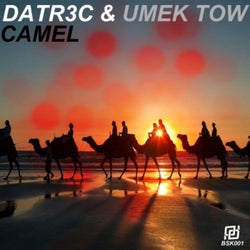 Camel (feat. Umek Tow)