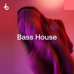 Festival Essentials 2025: Bass House