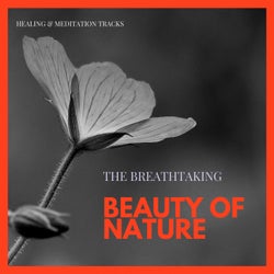 The Breathtaking Beauty Of Nature - Healing & Meditation Tracks