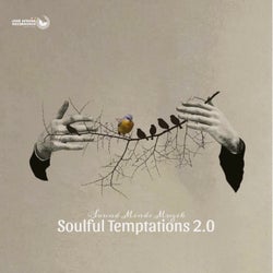 Soulful Temptations 2.0