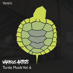 Turtle Musik Vol 6