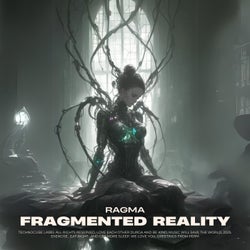 Fragmented Reality