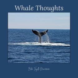 Whale Thoughts