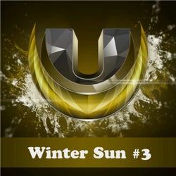 Winter Sun #3