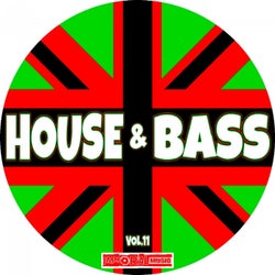 House & Bass Vol.11