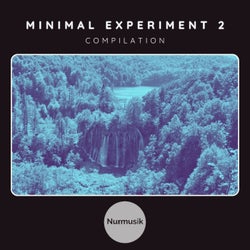 Minimal Experiment 2