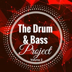 The Drum & Bass Project: Volume 2