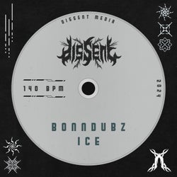 Ice