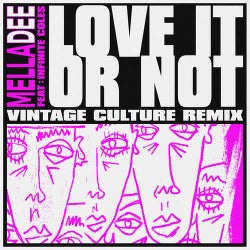 Love It or Not (feat. Infinite Coles) (Vintage Culture Extended Remix)